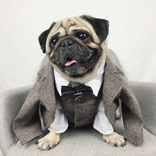 Load image into Gallery viewer, Fashion Pet Dog Clothes for Small Medium Dog Gentlemanly Vest Shirt Suit Pug Clothes French Bulldog Wedding Party Costume