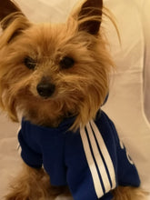 Load image into Gallery viewer, A01 Brand Name Cheap Pet dog adidogs sweater clothes Small Puppy dogs Coat Hoodies clothes for Chihuahua Yorkshire sweatershirt