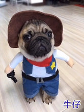 Load image into Gallery viewer, Cosplay Dog Clothes For Small Dogs Winter French Bulldog Jacket Standing Cartoon Dog Halloween Costume Chihuahua Pet Clothes