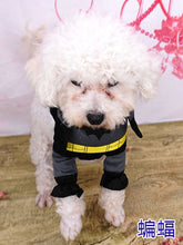 Load image into Gallery viewer, Cosplay Dog Clothes For Small Dogs Winter French Bulldog Jacket Standing Cartoon Dog Halloween Costume Chihuahua Pet Clothes