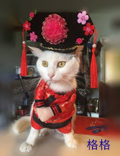 Load image into Gallery viewer, Cosplay Dog Clothes For Small Dogs Winter French Bulldog Jacket Standing Cartoon Dog Halloween Costume Chihuahua Pet Clothes