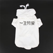 Load image into Gallery viewer, PipiFren Small Cats Clothes Hoodie Outfit Clothing Kitten Costume For Pets Dogs Clothes Puppy Yorkshire Coats vetement chat