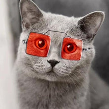Load image into Gallery viewer, 1PC Fashion Lovely Pet Glasses Dog Glasses Pet Products Cat Sunglasses Eye-wear Protection Photos Props Pet Accessories