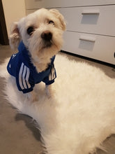 Load image into Gallery viewer, A01 Brand Name Cheap Pet dog adidogs sweater clothes Small Puppy dogs Coat Hoodies clothes for Chihuahua Yorkshire sweatershirt
