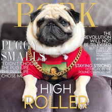 Load image into Gallery viewer, French Bulldog Clothes Dog Hoodie Adidog Warm Sport Retro Dog Hoodies Pet Clothes Puppy Dog Pugs Puppy Clothes Chihuahua
