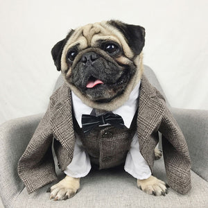 Fashion Pet Dog Clothes for Small Medium Dog Gentlemanly Vest Shirt Suit Pug Clothes French Bulldog Wedding Party Costume