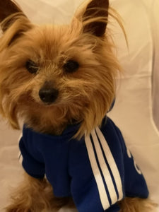 A01 Brand Name Cheap Pet dog adidogs sweater clothes Small Puppy dogs Coat Hoodies clothes for Chihuahua Yorkshire sweatershirt