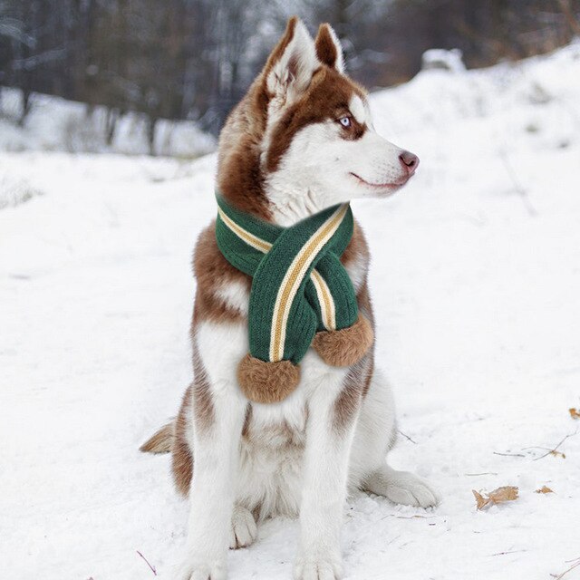 Winter Dog Pet Scarf Warm Woolen Neck Scarf Dog Accessories Scarves for Small Medium Large Dogs Puppy Dogs Collars Pet Products