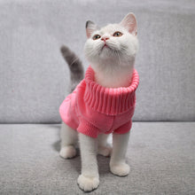 Load image into Gallery viewer, Pet Dog Cat Clothing Winter Autumn Warm Cat Knitted Sweater Jumper Puppy Pug Coat Clothes Pullover Knitted Shirt Kitten Clothes
