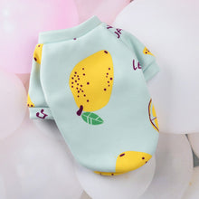 Load image into Gallery viewer, Cartoon Cat Hoodie Sweater Spring Summer Pet Cat Clothes for Cats Katten Kedi Pullovers Mascota Pet Costume Cat Outfit Clothing
