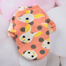 Load image into Gallery viewer, Cartoon Cat Hoodie Sweater Spring Summer Pet Cat Clothes for Cats Katten Kedi Pullovers Mascota Pet Costume Cat Outfit Clothing
