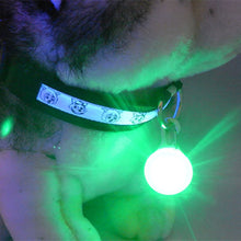 Load image into Gallery viewer, 1 Pcs LED Pet Dog Collar Pendant Night Safety Pendant Luminous Night Light Collar Pedant Dog Accessories Pet Supplies
