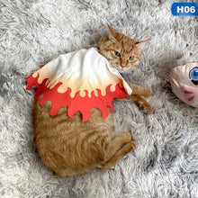 Load image into Gallery viewer, 1Pcs  Demon Slayer: Kimetsu no Yaiba Pet Clothes Dog Cat Clothes Soft Fleece Teddy Poodle Dog Clothing Pet Product Supplies

