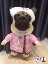 Load image into Gallery viewer, Cosplay Dog Clothes For Small Dogs Winter French Bulldog Jacket Standing Cartoon Dog Halloween Costume  Chihuahua Pet Clothes

