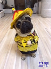 Load image into Gallery viewer, Cosplay Dog Clothes For Small Dogs Winter French Bulldog Jacket Standing Cartoon Dog Halloween Costume  Chihuahua Pet Clothes
