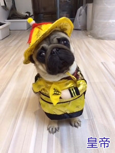 Cosplay Dog Clothes For Small Dogs Winter French Bulldog Jacket Standing Cartoon Dog Halloween Costume  Chihuahua Pet Clothes
