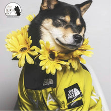 Load image into Gallery viewer, S-5XL Dog Raincoat Jacket Clothes Windproof Cat Dog Jacket Fashion Waterproof Reflective Pet Clothing Small Pets Large Pets Coat
