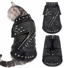 Load image into Gallery viewer, Leather Cat Jacket Warm Dogs Cat Clothes Coat Autumn Winter Pet Clothing Puppy Kitten Outfits Costumes for Chihuahua Yorkshire
