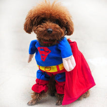 Load image into Gallery viewer, Funny Dog Clothes Halloween Costume Puppy Coat For Small Dogs Pets Costume Coat Chihuahua Clothes 25S2
