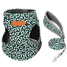 Load image into Gallery viewer, Spot Cat Vest Harness and Walking Leash Chest Strap Cat Clothes Set Pet Supplies VJ-Drop
