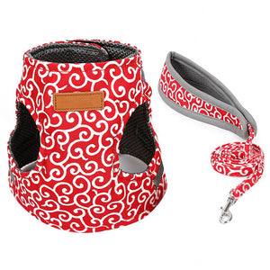 Spot Cat Vest Harness and Walking Leash Chest Strap Cat Clothes Set Pet Supplies VJ-Drop