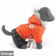 Load image into Gallery viewer, 2020 Winter Pet Dog Clothes Super Warm Jacket Thicker Cotton Coat Waterproof Small Dogs Pets Clothing For French Bulldog Puppy
