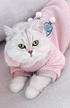 Load image into Gallery viewer, Hoodie Stuff Cat Accessories Clothes Dog Pet Winter Jacket Pet Costume Cats Clothes Dog Sweater Ropa Para Gato Cat Coat QJJ60MWT
