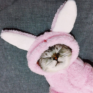 Cat Clothes Kitten Cat Cute Funny Pet Transformation Clothes Kitten Autumn and Winter Clothes Halloween Dress Up Supplies