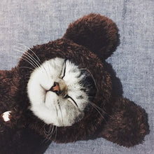 Load image into Gallery viewer, Cat Clothes Kitten Cat Cute Funny Pet Transformation Clothes Kitten Autumn and Winter Clothes Halloween Dress Up Supplies
