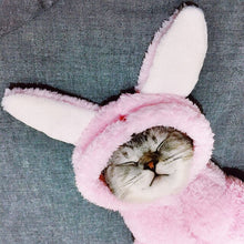 Load image into Gallery viewer, Cat Clothes Kitten Cat Cute Funny Pet Transformation Clothes Kitten Autumn and Winter Clothes Halloween Dress Up Supplies
