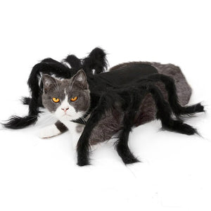Halloween Pet Costume Cat Dog Spider Wing Funny Cosplay Costumes Clothes Dress Halloween Decorations For Home Dropshipping #