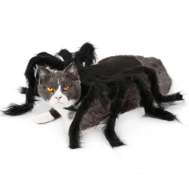 Halloween Pet Costume Cat Dog Spider Wing Funny Cosplay Costumes Clothes Dress Halloween Decorations For Home Dropshipping #
