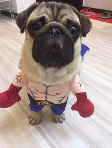 Pet Dog Halloween Clothes Dogs Holding a Knife Halloween Christmas Costume Novelty Funny Pet Cat Party Cosplay Apparel Clothing
