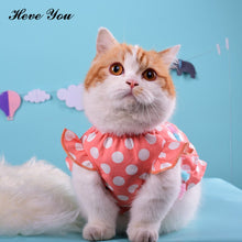 Load image into Gallery viewer, Heve You Puppy Chihuahua Clothing for Pet Supplies Lovely Cat Dress Small Cat Clothes Fashion Pet Dog Clothing Party Pet Clothes
