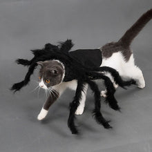 Load image into Gallery viewer, Halloween Cats Cosplay Costumes Small Dogs Spider Dressing Up Clothes Horror Long Fur Legs Funny Costume Chihuahua Yorkie
