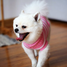 Load image into Gallery viewer, Dog Sweater Knitted Pet Sweater Teddy Bears Beau High Neck Warm Knitted Cat Clothes Autumn Winter  Clothing for Cats BB50WY
