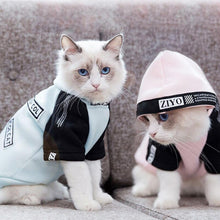 Load image into Gallery viewer, HIPET Fashion Cat Sweatshirt Apparel Pet Clothes Personalized Cute Spring Autumn Two Feet Clothing For Puppy Kitten Cats Costume

