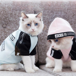 HIPET Fashion Cat Sweatshirt Apparel Pet Clothes Personalized Cute Spring Autumn Two Feet Clothing For Puppy Kitten Cats Costume