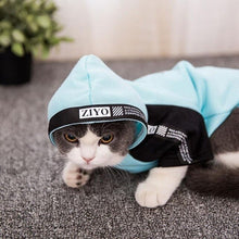 Load image into Gallery viewer, HIPET Fashion Cat Sweatshirt Apparel Pet Clothes Personalized Cute Spring Autumn Two Feet Clothing For Puppy Kitten Cats Costume
