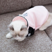 Load image into Gallery viewer, HIPET Fashion Cat Sweatshirt Apparel Pet Clothes Personalized Cute Spring Autumn Two Feet Clothing For Puppy Kitten Cats Costume
