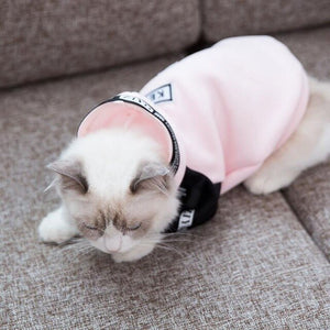 HIPET Fashion Cat Sweatshirt Apparel Pet Clothes Personalized Cute Spring Autumn Two Feet Clothing For Puppy Kitten Cats Costume