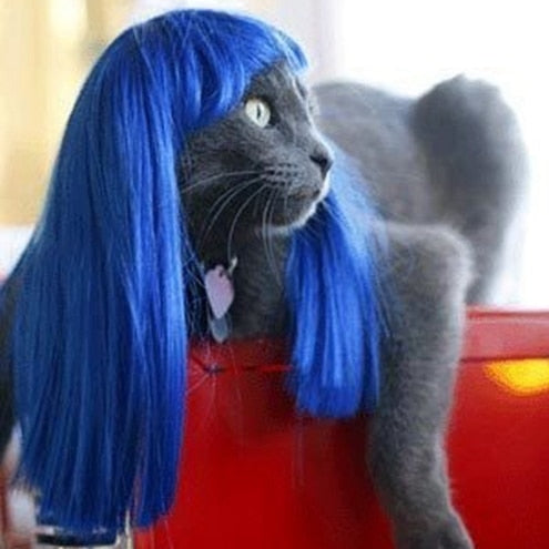 Pet wig, funny cat wig Blue Straight Hair