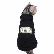 Load image into Gallery viewer, PipiFren Small Cats Clothes Hoodie Outfit Clothing Kitten Costume For Pets Dogs Clothes Puppy Yorkshire Coats vetement chat
