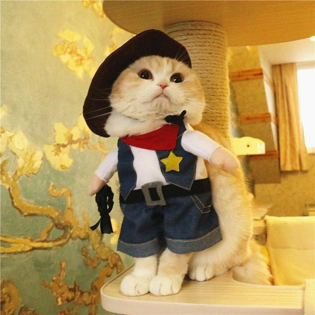 Funny Cat Clothes Pirate Suit Clothes For Cat Costume Clothing Corsair Halloween Clothes Dressing Up Cat Party Costume Suit 23