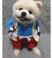 Load image into Gallery viewer, Funny Cat Clothes Pirate Suit Clothes For Cat Costume Clothing Corsair Halloween Clothes Dressing Up Cat Party Costume Suit 23
